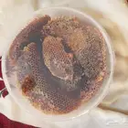 عسل سدر اصلي للبيع