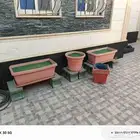 أحواض زرع شتلات