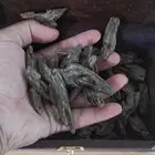 عود كلمنتان بنتلي محسن فاخر مناسب للمناسبات والمساجد