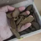 عود الموروكي فاخر محسن مناسب للمناسبات والمساجد والمكاتب