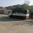 دينا شبك للنقل