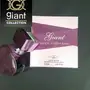 عطور فاخرة 25 مل - عطور جيانت