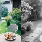 تلوين الصور الغير ملونة