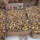 رطب متلبن جديد جني اليوم طيب جدا