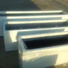 مؤسسة زهرة الخليج الزراعية -نجران -دحضة