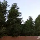 معلم قدرات كمي