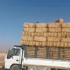 موجود تبن قمح شده طيب مقس 90 95 لبان ويلجر