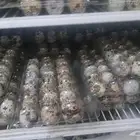 Quail eggs for eating