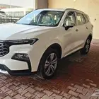 فورد تيرتوري تيتانيوم اقل سعر اخر حبة 2025