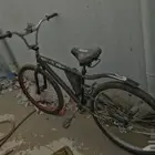 سيكل كوبرا أكبر حجم معدل