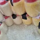 سمن غنم وسمن بقر صافي بدون إضافات وع الشرط