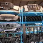 صدام شانجان يوني في