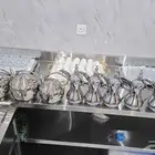 قهوجي ابها خميس مشيط احدرفيده سراة عبيدة