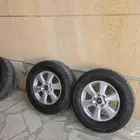 جنوط لاند 2025