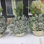 اساور فل الرياض عقود واطواق واساور