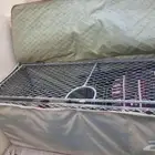 شبك حوض سييرا