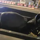 دباب بطه للبيع