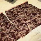 ستاره قديمه (تراث)