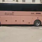 حافلات للايجارvip