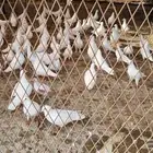 للبيع حمام فرنسي