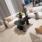 يوجد لدينا أقساط تابي  تمارا...