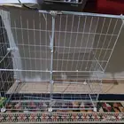 اغراض قطط لبيع