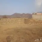 We have Clean stone milk and cutting services located in Muh