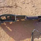 قشرة طبلون ددسن