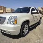يوكن دينالي 2010