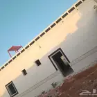 بديل الحجر