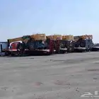 لوبد متواجد في قطر