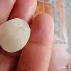 نبغى نعرف ايش نوعيه الحجران