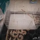 للبيع قفاصه