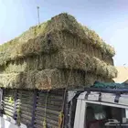 برسيم طبرجل