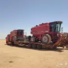 لوبد القصيم