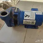 دينمو سمنان