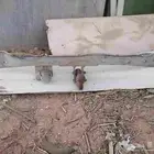 قاعدة اسبير وايت وهوك مرسيدس و مراتب خلفيه جيب صالون 83