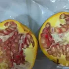 رمان عضوي بشهادة معتمدة