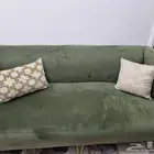 كنب لون عشبي