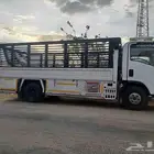 دينا في بيشه للمشاوير
