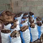 خياش للبيع طيبه