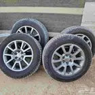 كفرات وجنوط دينالي اصليات