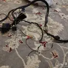 ضفيره كامله