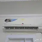 عفش للبيع