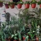 منسق حدائق وتركيب جميع شبكات الري العادي والاتمتك والدكور