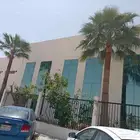 نقوم بتكريب وتنظيف النخيل الواشنطن والعربي