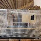 قفص - اقفاص - طيور - حيوانات