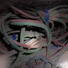 هوز نيتروجين