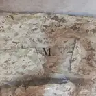 بالطو الحرس