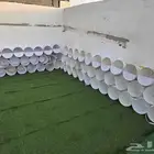 للبيع لمربيين الحمام الفرنسي المنتج سطول بلاستيك حجم كبير